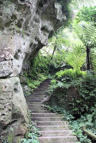 0606三民蝙蝠洞、秋山清泉巖觀音洞、基國派 (14).JPG