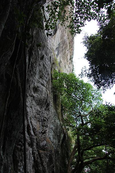 0621大溪白石山 (60).JPG