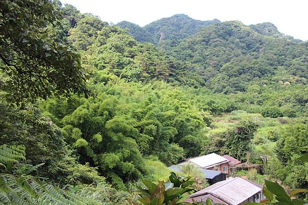 0627東勢格古道上臭頭山 (8).JPG