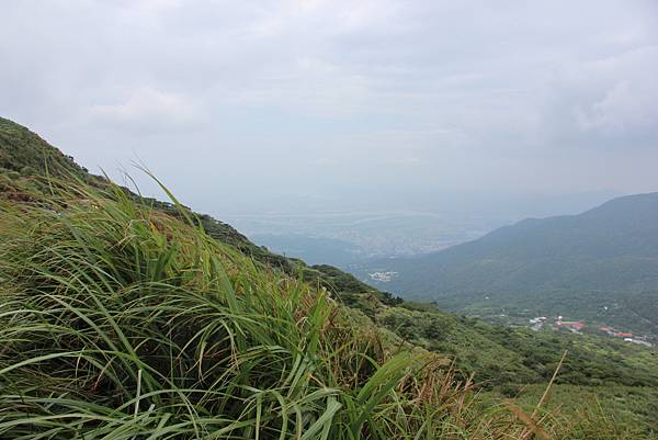 0712七星池、七星山 (42).JPG