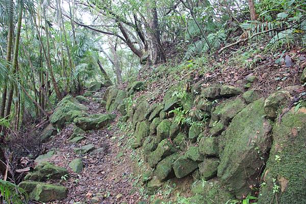 0830炮仔崙登山步道、炮仔崙瀑布 (10).JPG