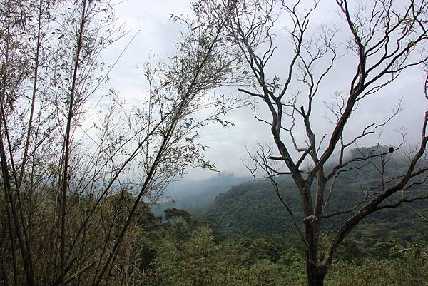 0830炮仔崙登山步道、炮仔崙瀑布 (23).JPG