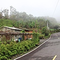 0830炮仔崙登山步道、炮仔崙瀑布 (29).JPG