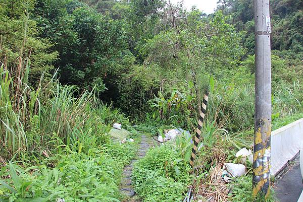 0830炮仔崙登山步道、炮仔崙瀑布 (35).JPG