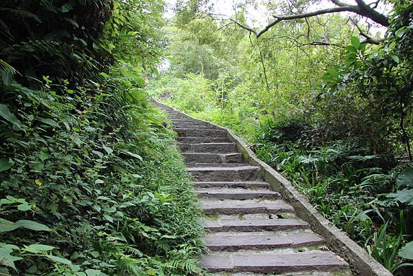 0926北橫古道上硬漢嶺 (10).JPG