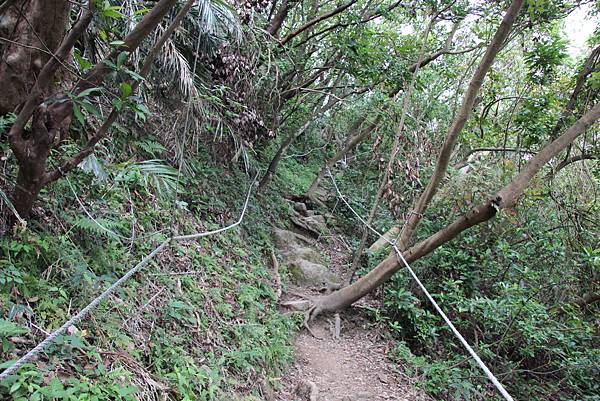 0926北橫古道上硬漢嶺 (28).JPG