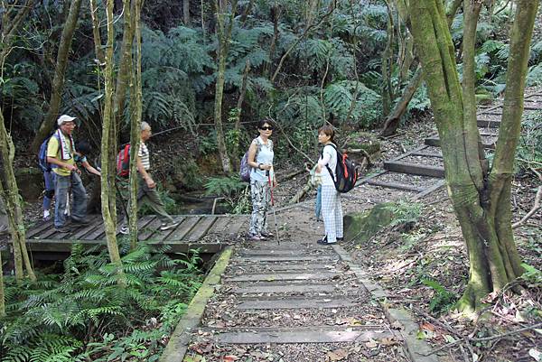 1003中社路上大崙頭山 (19).JPG