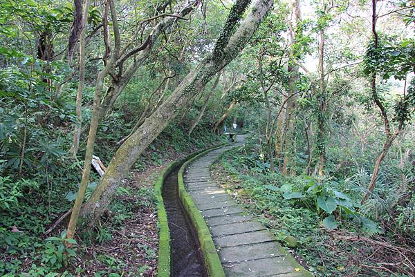 1107遊三芝青山瀑布尖山湖步道 (9).JPG