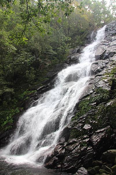 1107遊三芝青山瀑布尖山湖步道 (71).JPG