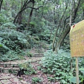 1107遊三芝青山瀑布尖山湖步道 (80).JPG