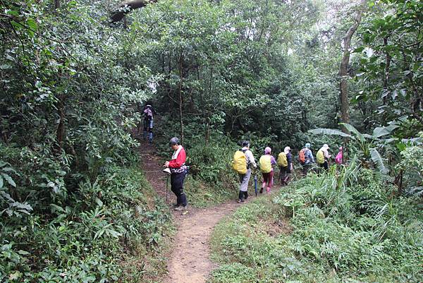 1226大芁芎古道上溪州山  (45).JPG