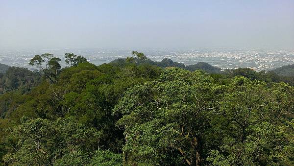 0228清水岩步道 (42).jpg