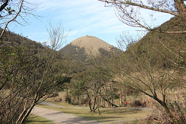 0305面天山大屯山 (23).JPG