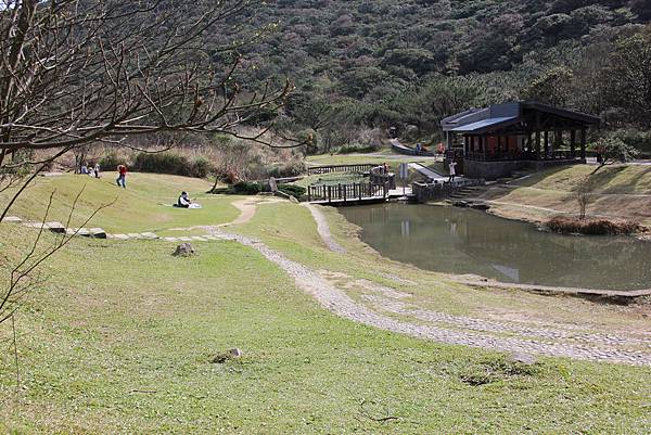 0305面天山大屯山 (29).JPG