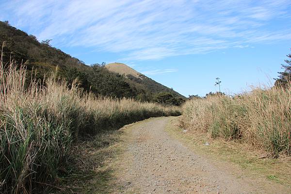 0305面天山大屯山 (30).JPG