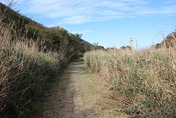 0305面天山大屯山 (31).JPG