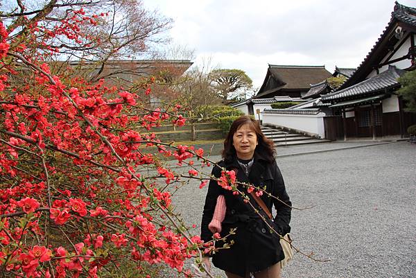 0325關西機場購票、京都、宇治平等院、宇治上神社 (49).JPG