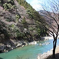 0326京都嵐山瑳峨野觀光火車、保津川遊船 (19).JPG