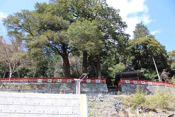 0326京都嵐山瑳峨野觀光火車、保津川遊船 (45).JPG