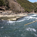 0326京都嵐山瑳峨野觀光火車、保津川遊船 (51).JPG