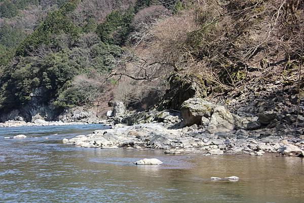 0326京都嵐山瑳峨野觀光火車、保津川遊船 (52).JPG