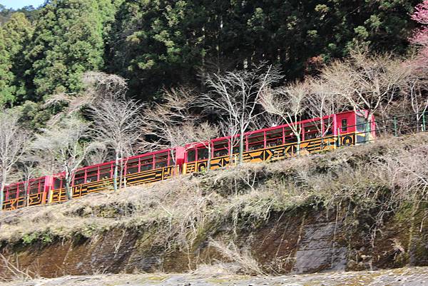 0326京都嵐山瑳峨野觀光火車、保津川遊船 (78).JPG