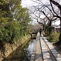 0327京都哲學之道 (22).JPG