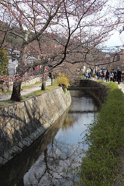 0327京都哲學之道 (36).JPG 0327京都哲學之道 (36).JPG