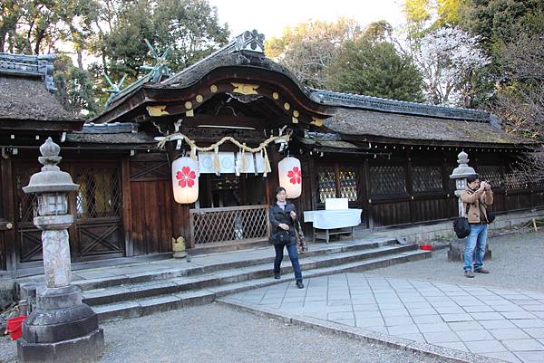 0326京都平野神社夜櫻 (23).JPG