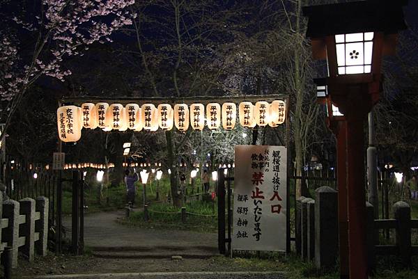 0326京都平野神社夜櫻 (29).JPG