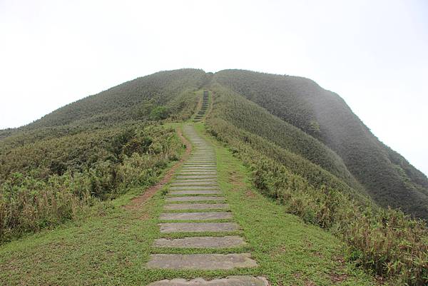 0423貢寮桃源谷 (54).JPG