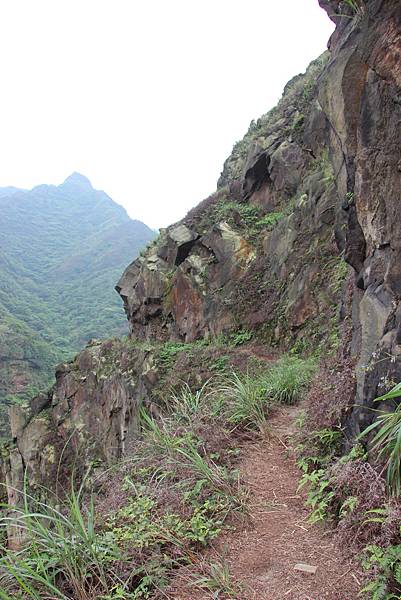 0430瑞芳小錐麓古道 (125).JPG 0430瑞芳小錐麓古道 (125).JPG