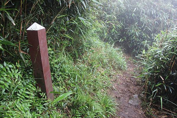 0514小觀音山西峰、小觀音山 (36).JPG