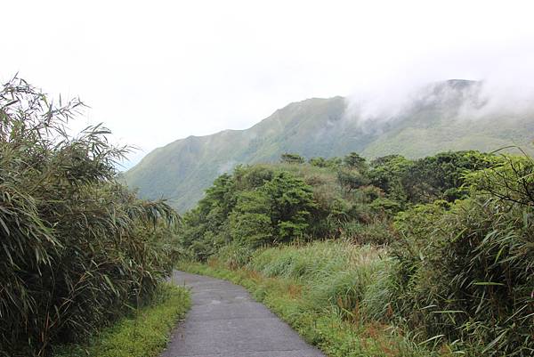 0514小觀音山西峰、小觀音山 (49).JPG