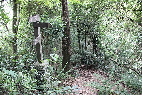 0521藤坪古道猿山步道 (40).JPG