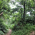 0521藤坪古道猿山步道 (45).JPG