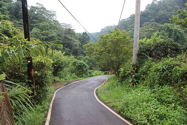 0521藤坪古道猿山步道 (63).JPG