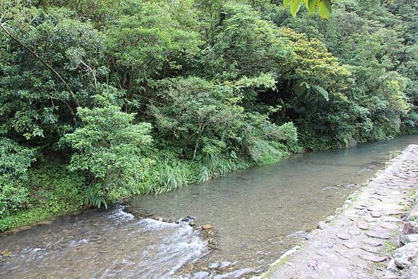 平溪頭古道 (15).JPG