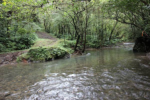 平溪頭古道 (34).JPG