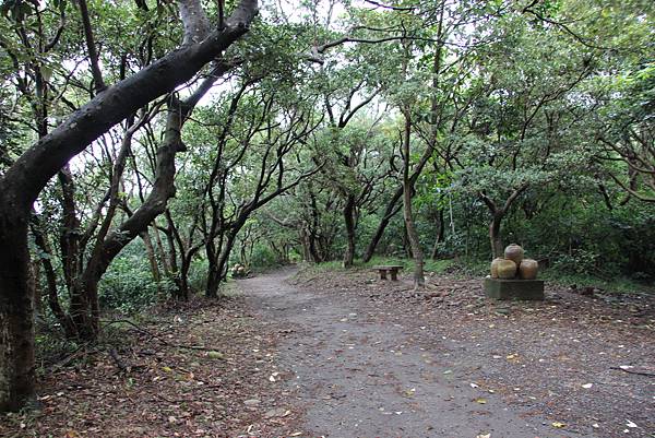 1009五酒桶山步道 (14).JPG