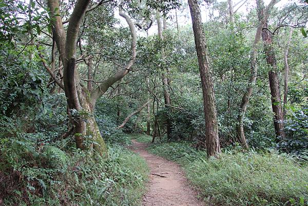 1203五酒桶山、山鼻山、六福步道 (21).JPG