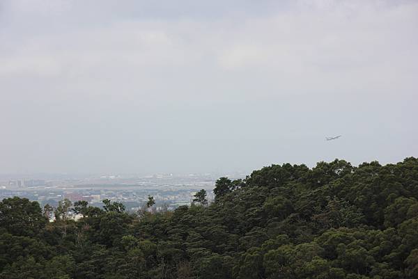 1203五酒桶山、山鼻山、六福步道 (30).JPG