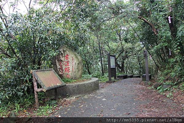 0107貂山古道、牡丹山 (17).JPG