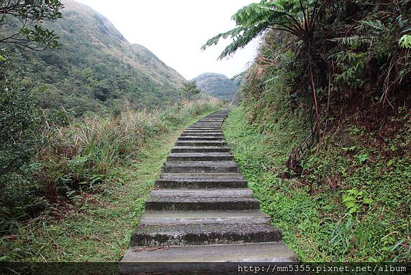 0107貂山古道、牡丹山 (34).JPG