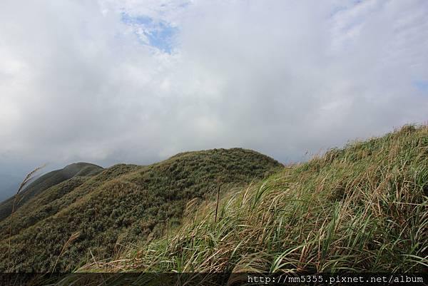 0107貂山古道、牡丹山 (64).JPG