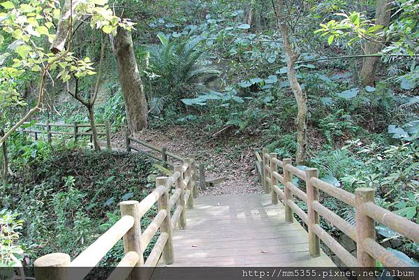 01212蓮華山飛龍步道 (8).JPG