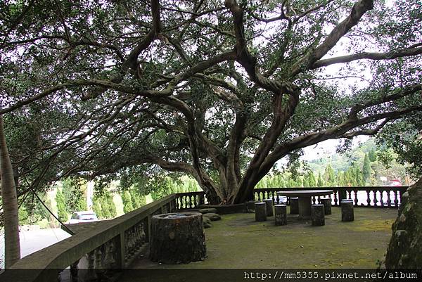 01212蓮華山飛龍步道 (10).JPG