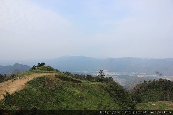 0211鷂婆山洗水坑李花 (25).JPG