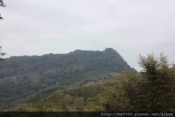 0211鷂婆山洗水坑李花 (48).JPG