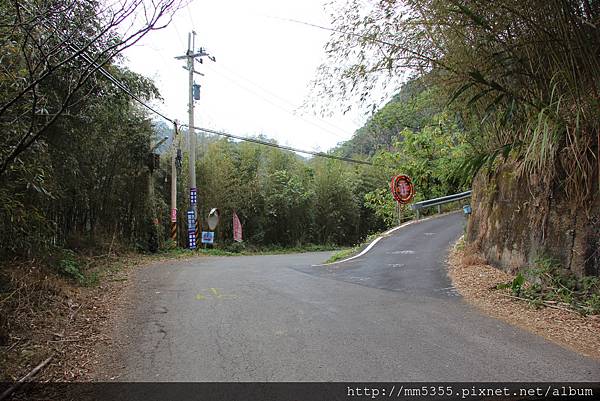 0211鷂婆山洗水坑李花 (55).JPG